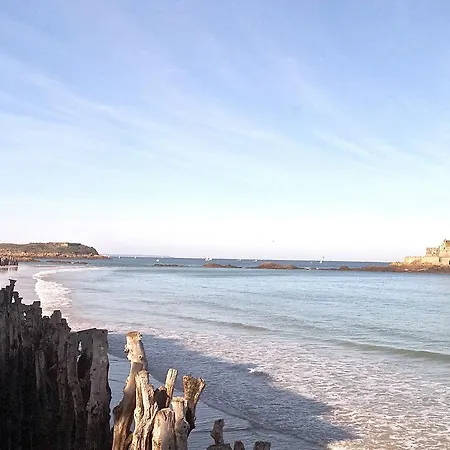 Malo Intra-muros, L'hermine *